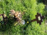 image of grave number 921367